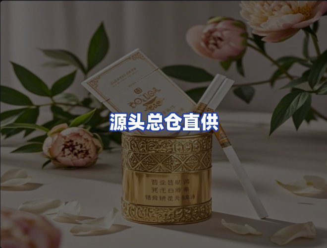 专业团队